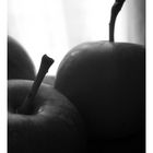 "Trittico di mele" - III. Apples.