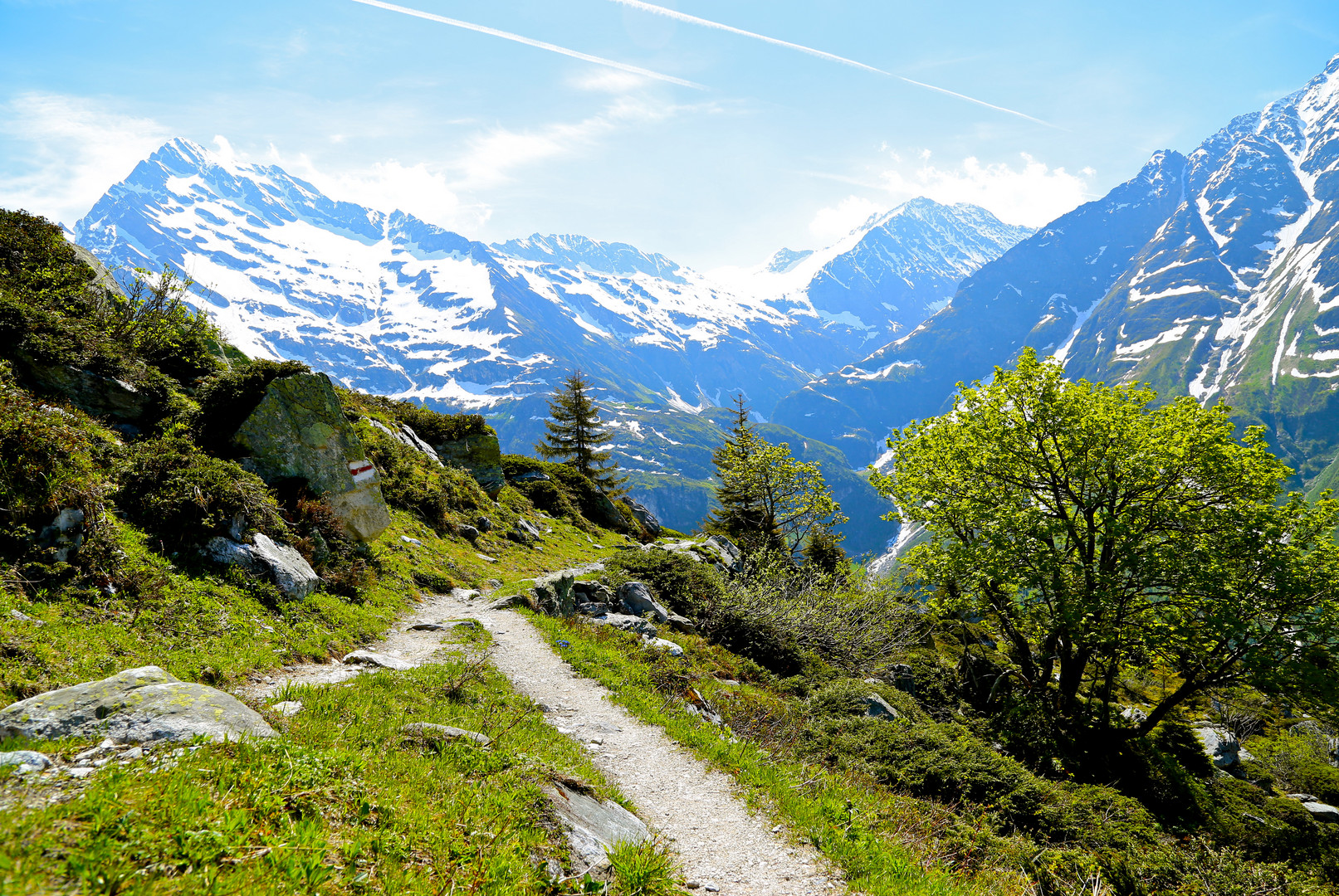 Trittweg, Golzneralpen