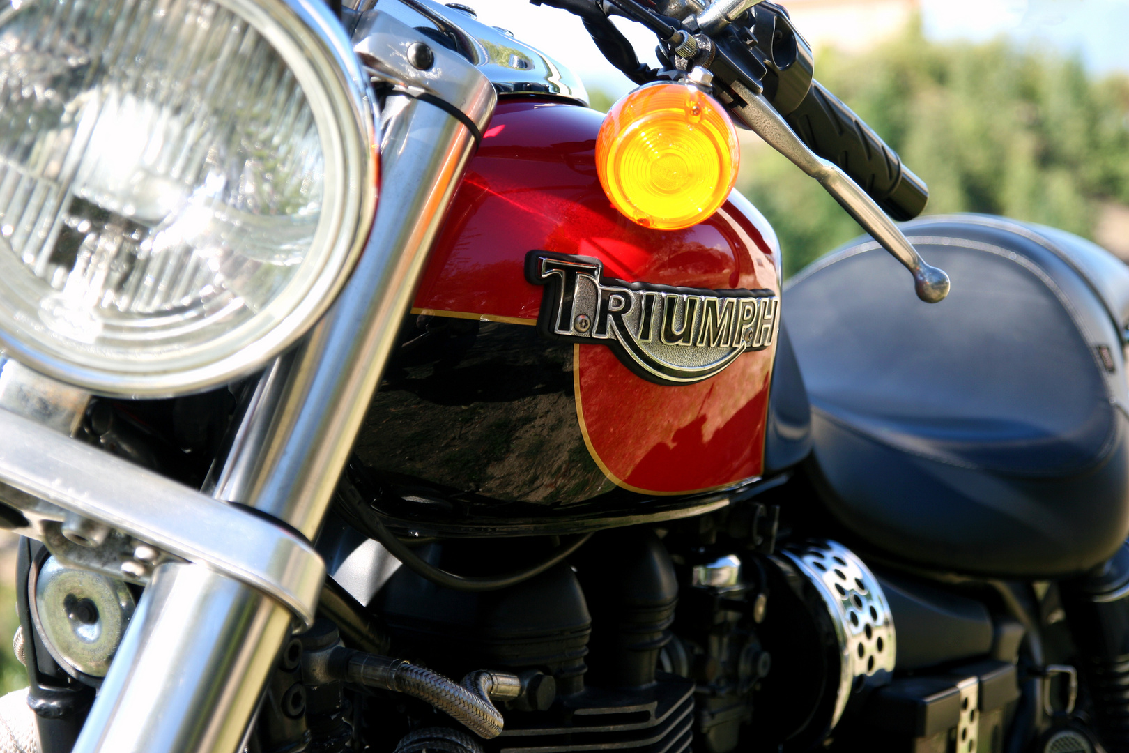 TRIUMPH 865 "PATA NEGRA"