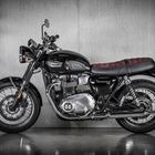 Triumph  Bon One