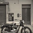 Triumph Bonneville