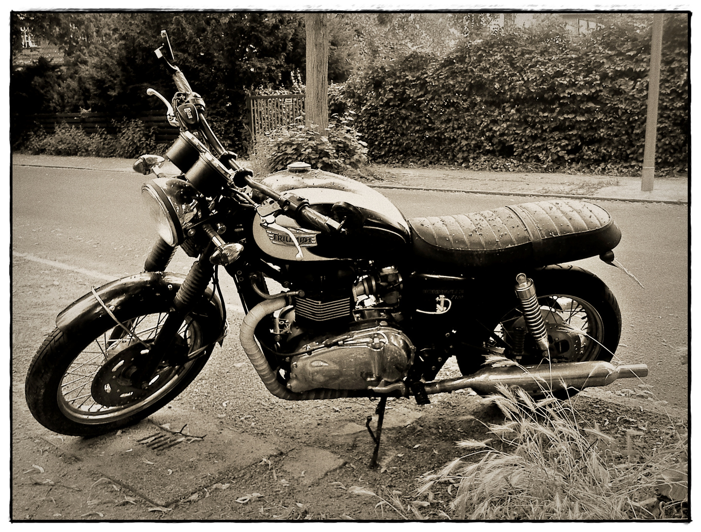 Triumph Bonneville...