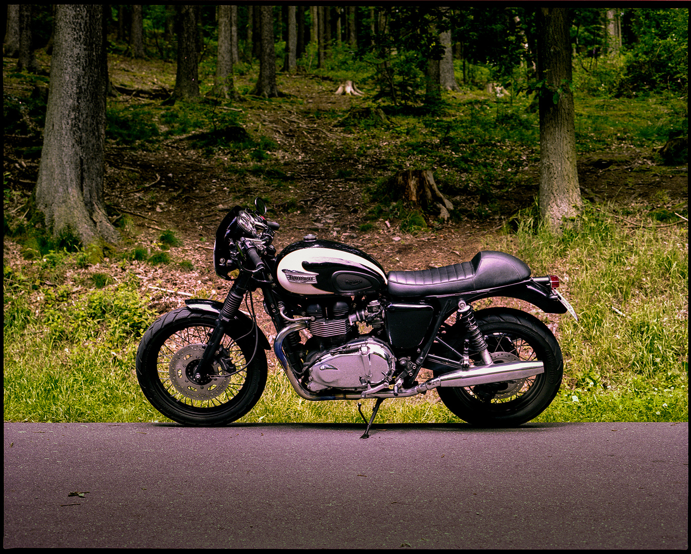 Triumph Bonneville T100 Café Racer