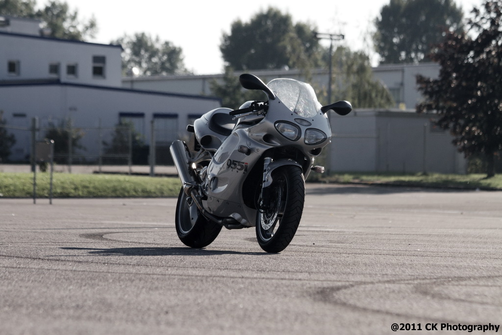 Triumph Daytona 955i