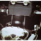 Triumph Motorrad Detail