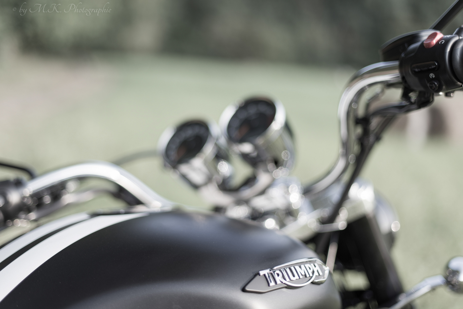 Triumph Rocket