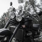 Triumph Rocket III - 3