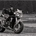 ... Triumph Speed Triple auf Reisen ...