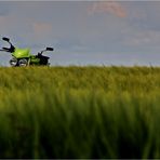 .... Triumph Speed Triple im Kornfeld ....