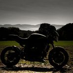 ... Triumph Speed Triple Silouette ...