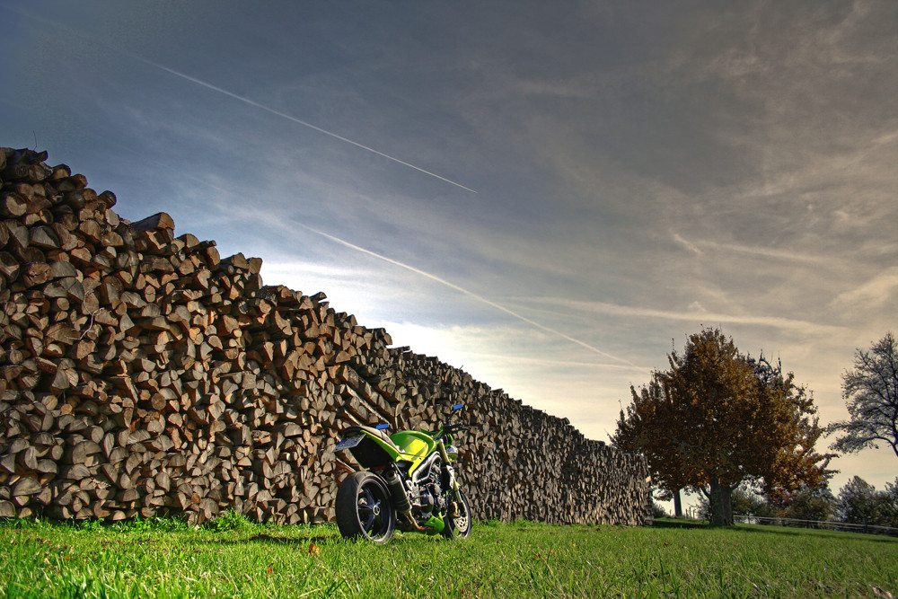 ..... Triumph Speed Triple vor Holz .....