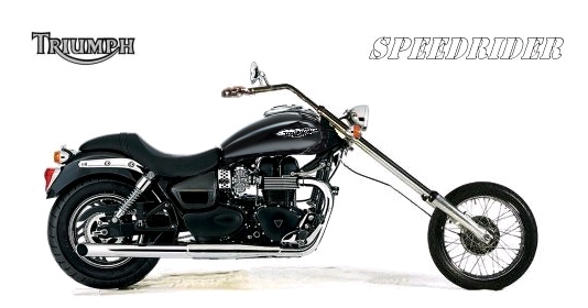 Triumph SPEEDRIDER 2011