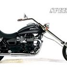 Triumph SPEEDRIDER 2011