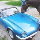 Triumph Spitfire 1500 mit Pferd Grafitti