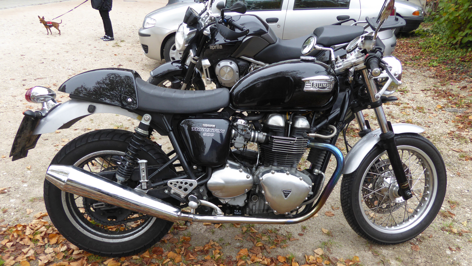 Triumph, Thruxton 900