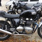 Triumph, Thruxton 900