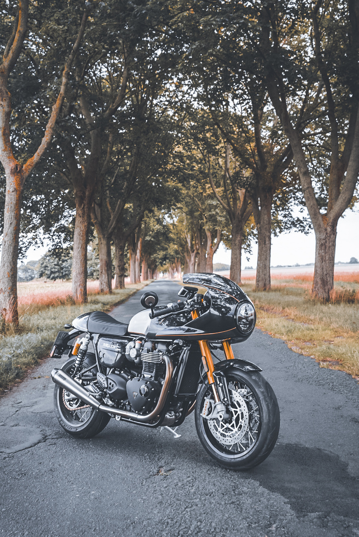 Triumph Thruxton TFC