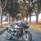 Triumph Thruxton TFC