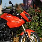 Triumph Tiger 1050 ABS - 01