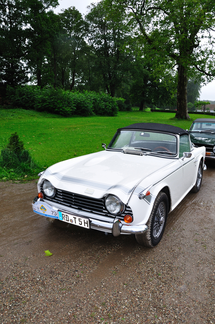 Triumph TR 250