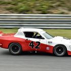 Triumph TR 8 IMSA 