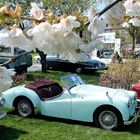 TRIUMPH TR2 - TS-1651-L