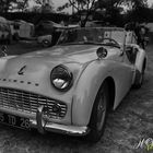 triumph tr3