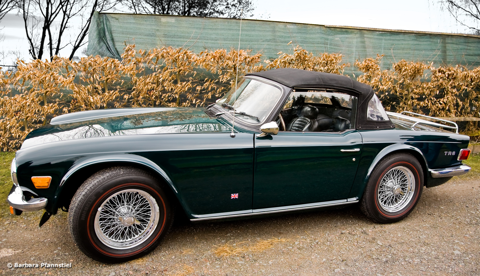 Triumph TR6