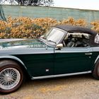 Triumph TR6