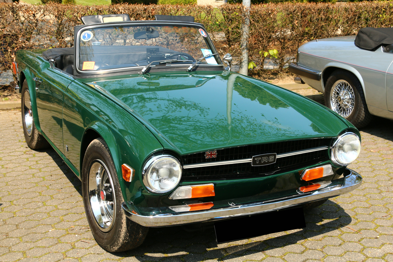 Triumph Tr6