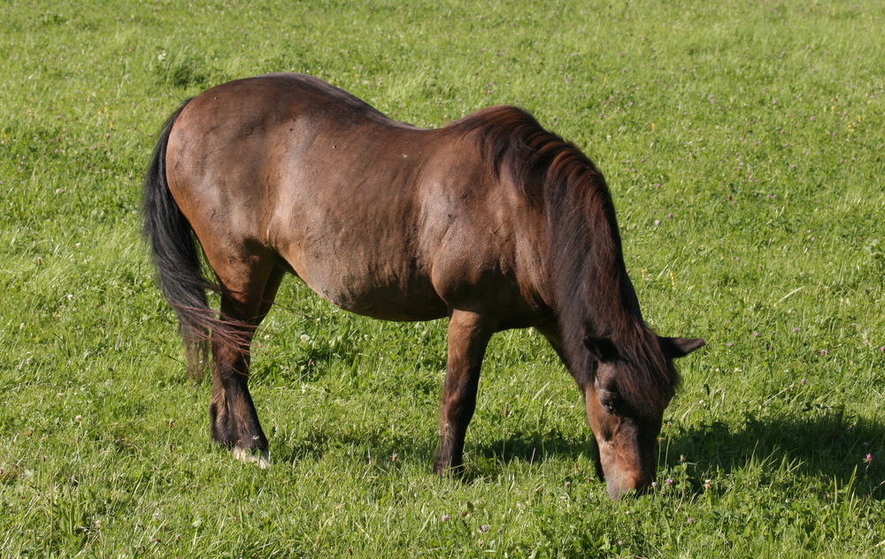 Trixi in ihrem neuen Sommerkleidchen