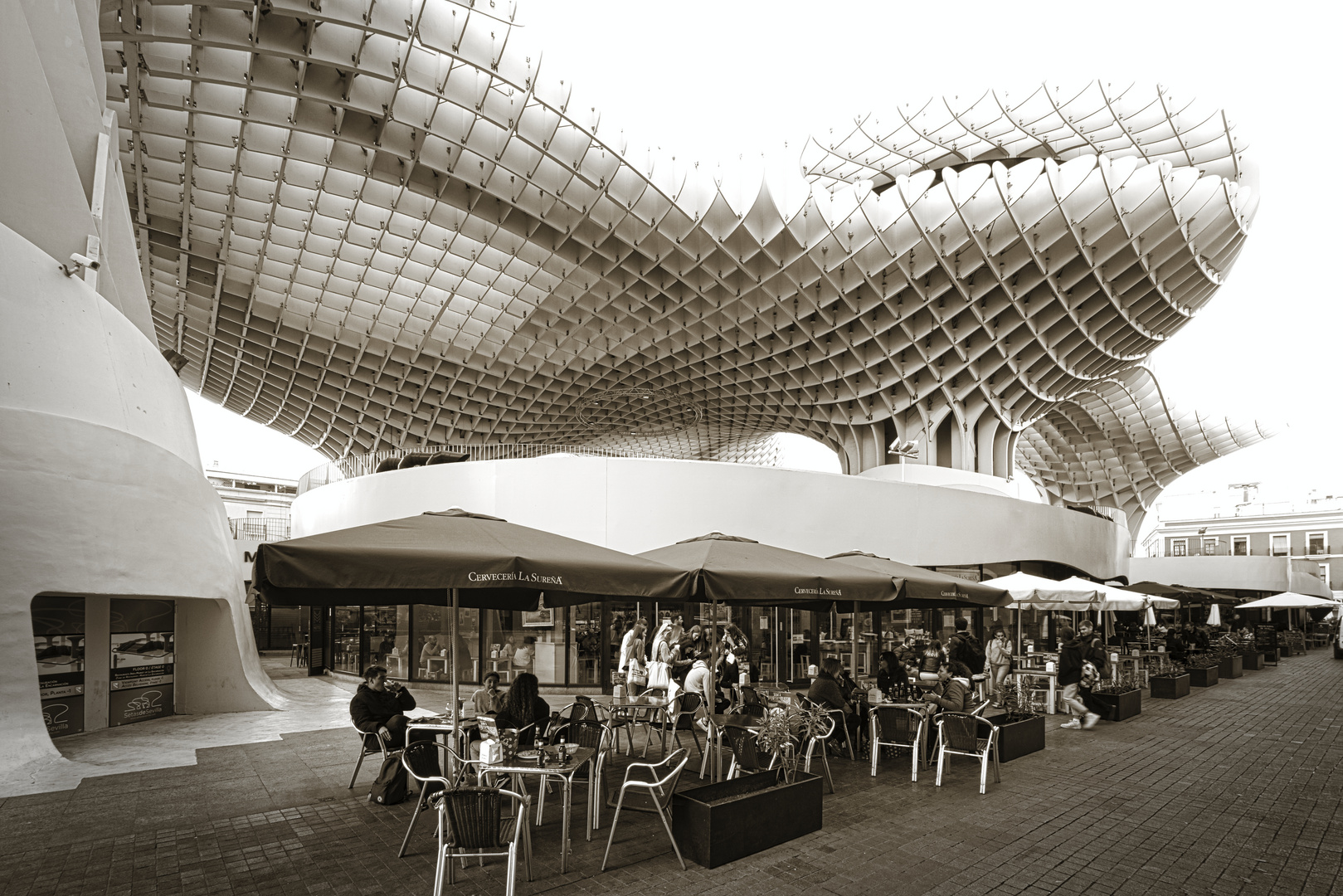 _TRL8974 Metropol Parasol Sevilla