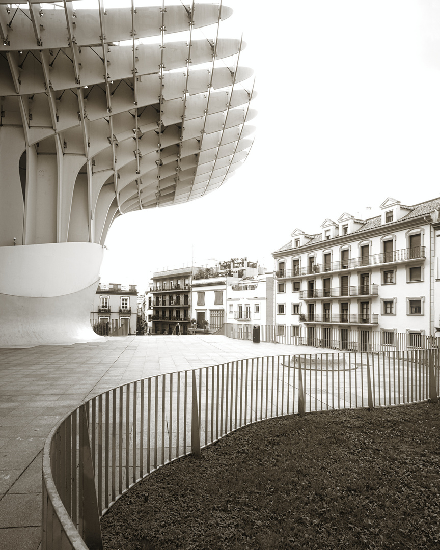 _TRL9008 Metropol Parasol Sevilla