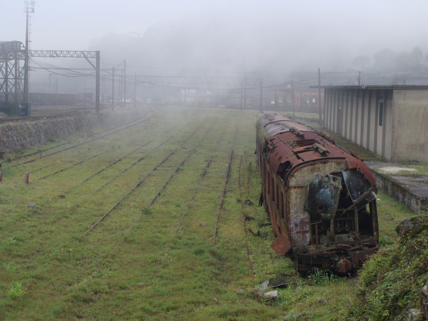 Trêm velho - the train Star