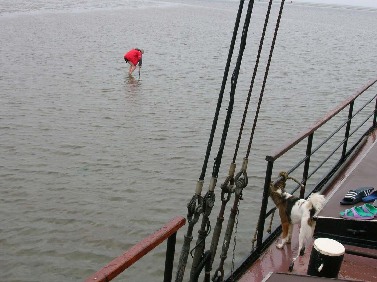 Trocken gefallen im Wattenmeer