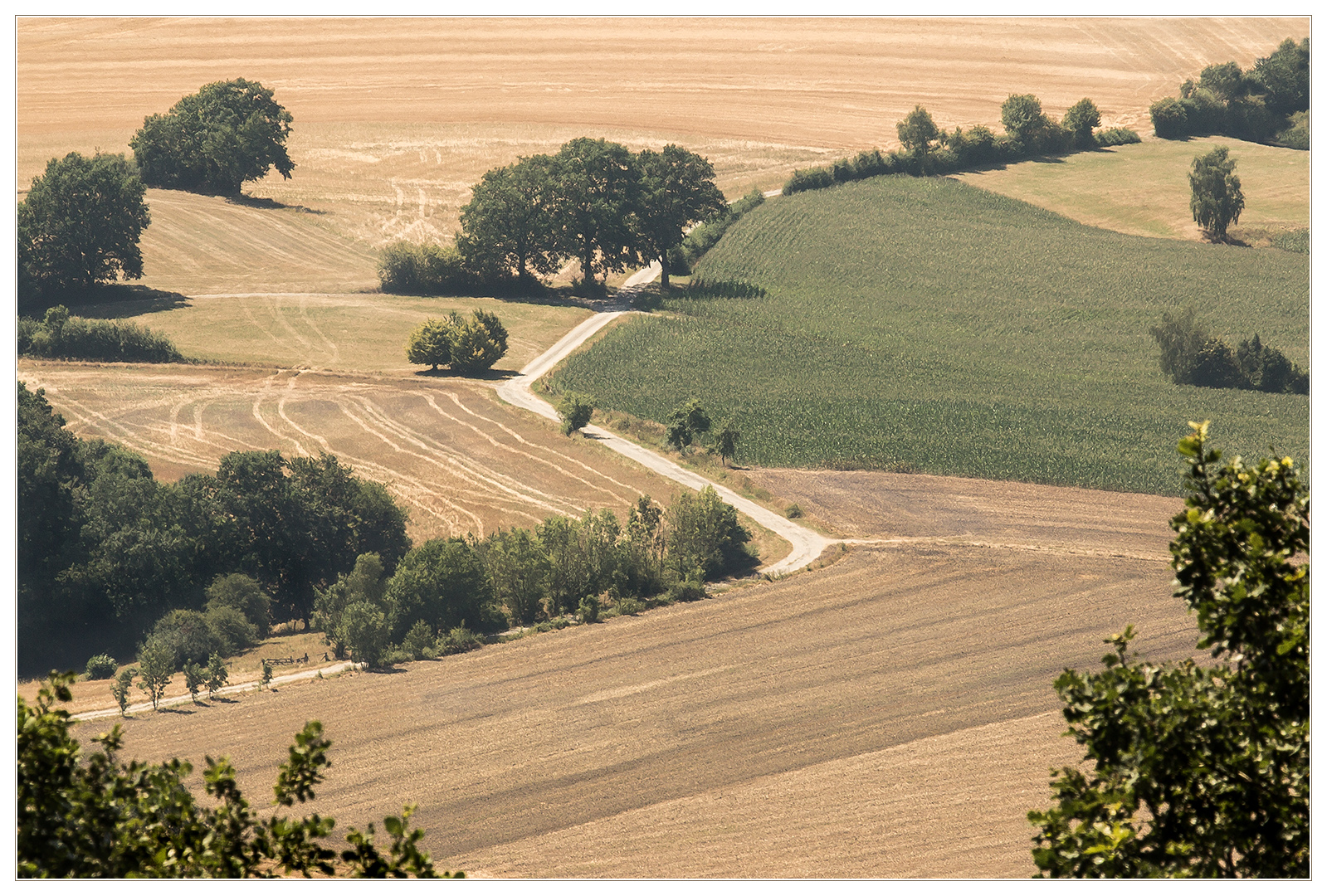 Trocken-staubiges Land - Spanienhitze...