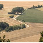 Trocken-staubiges Land - Spanienhitze...