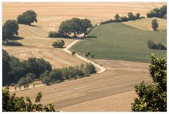 Trocken-staubiges Land - Spanienhitze...