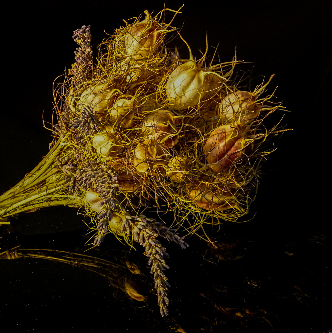 Trockenblumenstrauß mit Lavendel