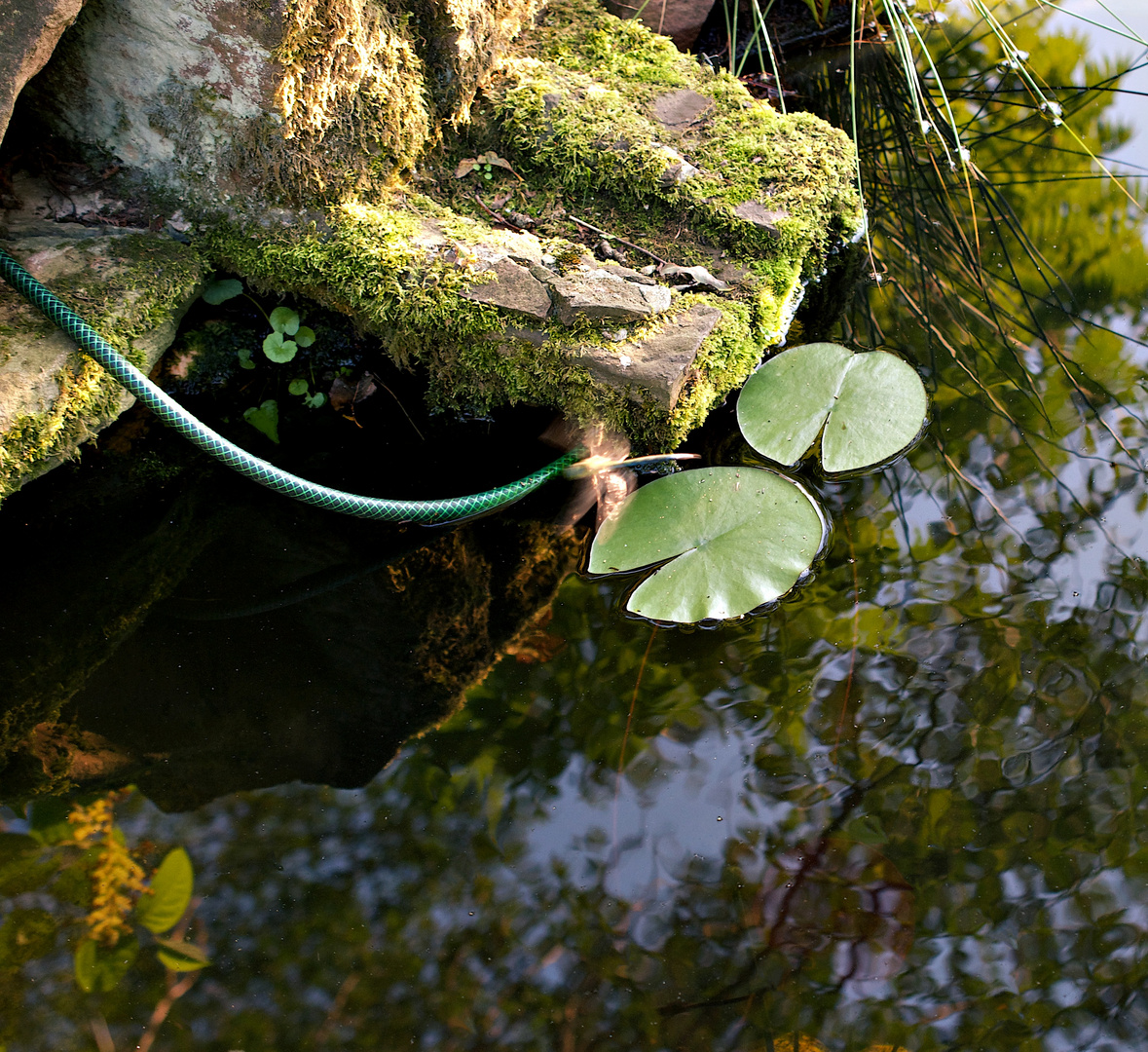 Trockener Bachlauf am kleinen Teich. Foto & Bild world, natur, see