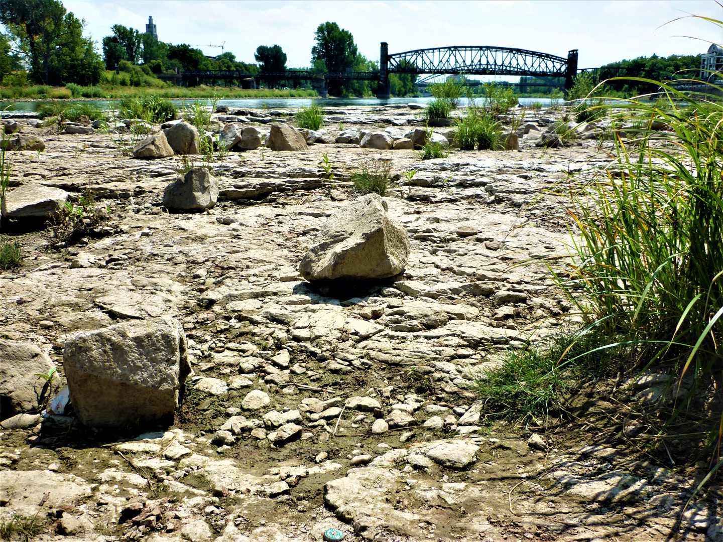 Trockener Domfelsen