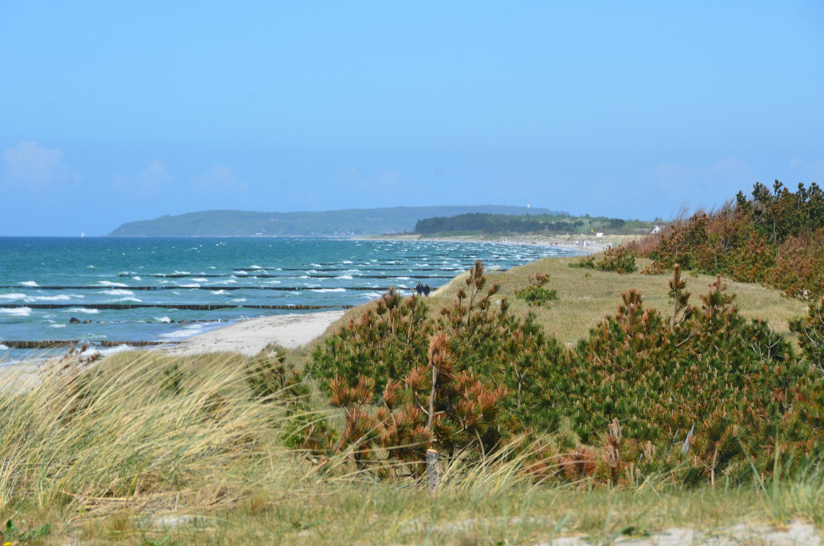 Trockener Wind