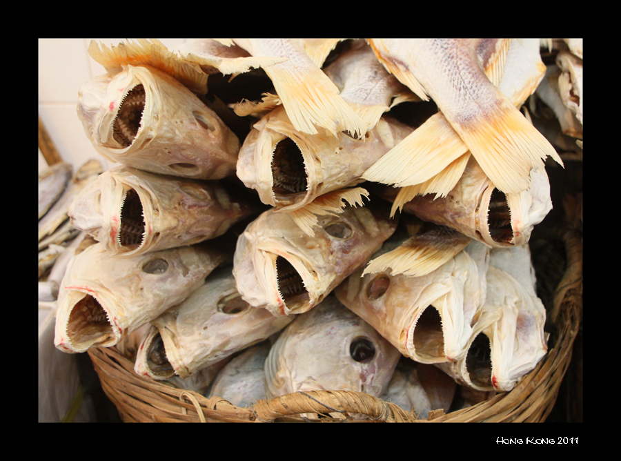 Trockenes Ende eines Fischlebens