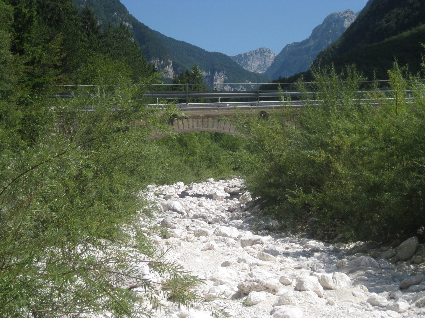 Trockenes Flussbett im Grünen