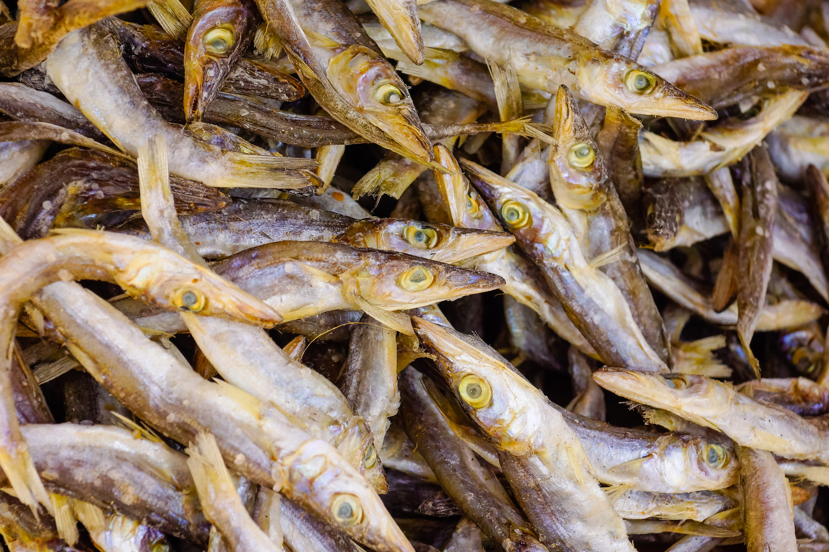 Trockenfisch am Strassenrand