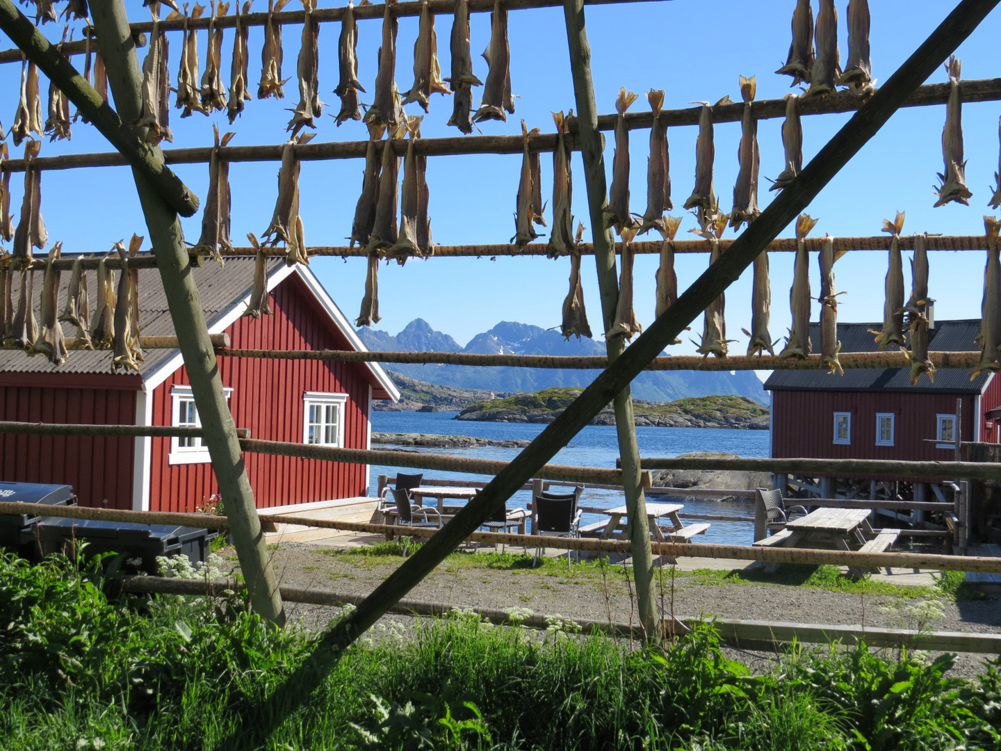 Trockenfischgestelle Lofoten