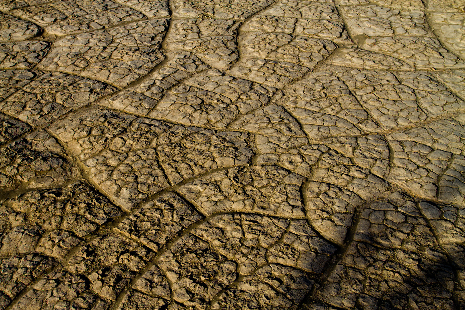 Trockenheit