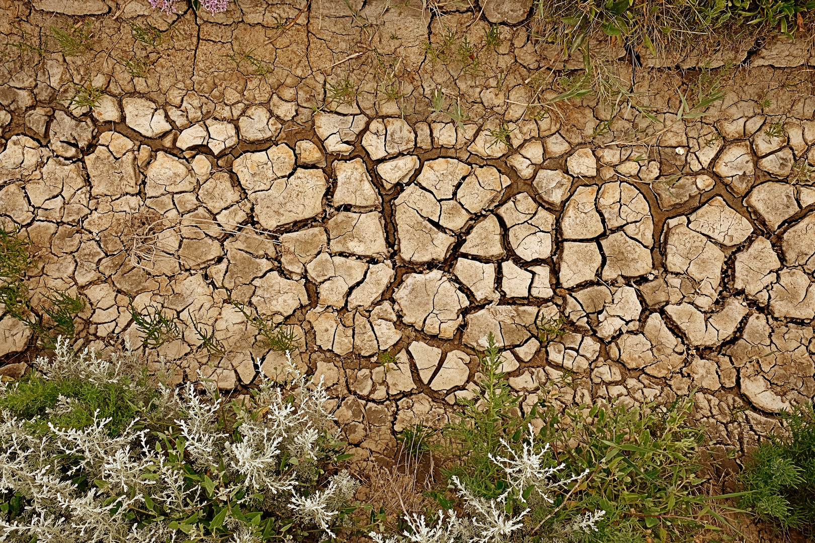 Trockenheit