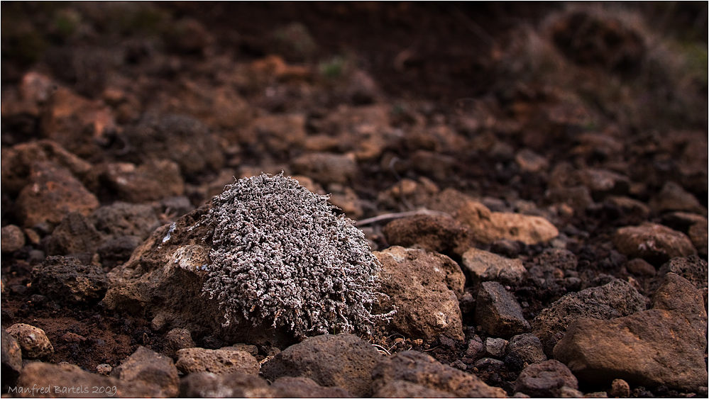 Trockenheit...