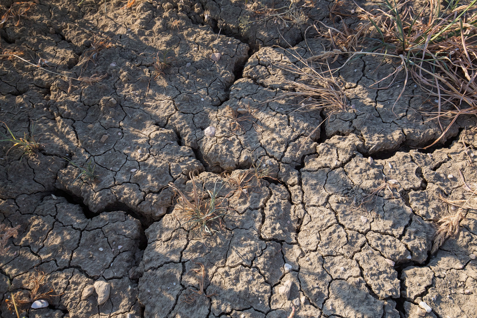 Trockenheit